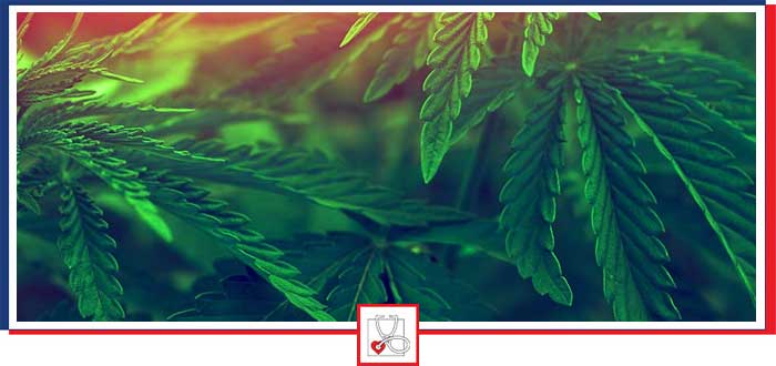 Benefits of Medical Marijuana in Boca Raton, FL Benefits of Medical Marijuana in Boca Raton, FL
