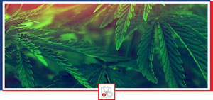 Benefits of Medical Marijuana in Boca Raton, FL Benefits of Medical Marijuana in Boca Raton, FL