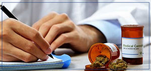 Top 6 Questions to Ask Your Medical Marijuana Doctor